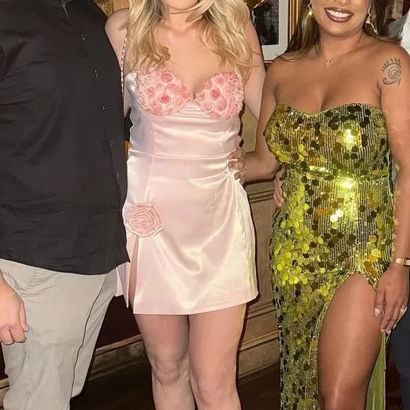 Jessica Bara Pink Rose Dress - Picture 4 of 5